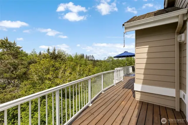 This deck stretches all the way across the back of the house!