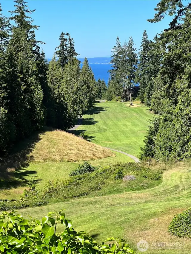 Imagine being so close to the award-winning Port Ludlow Golf Course! Come to the Olympic Peninsula and beautiful Port Ludlow and make it home!