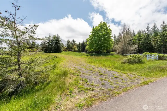 Potential Driveway from Ediz View