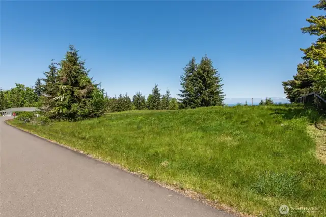 Diamond Vista Drive