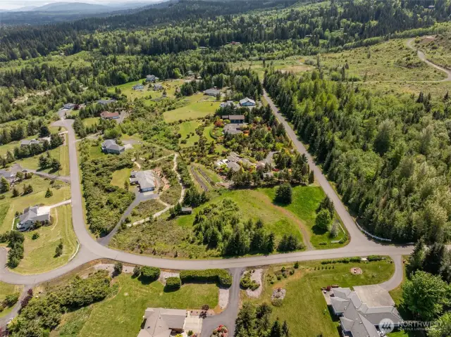 Aerial of neighborhood