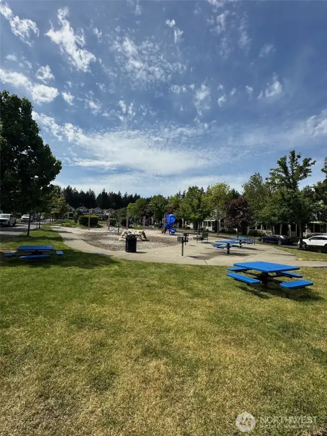 the park in front of the property