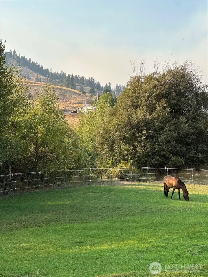 horse pasture with home on the hill
