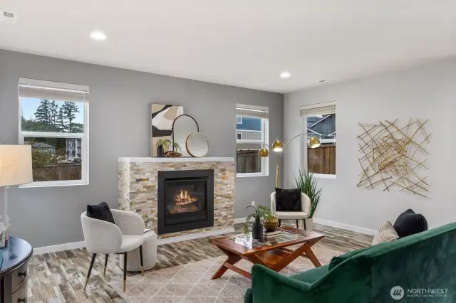 Living Room and Fireplace