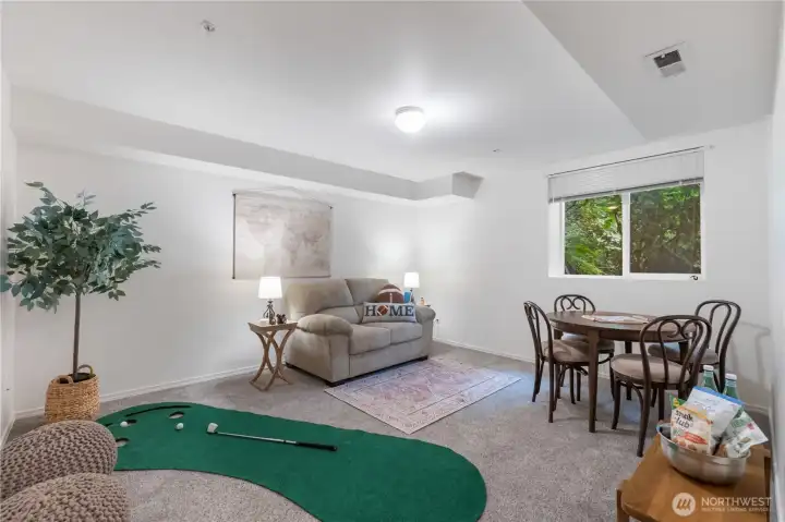 Lower level flex room