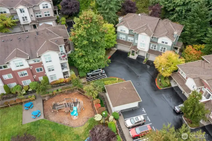 Aerial shot of the community