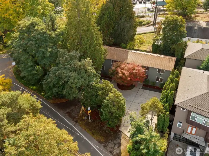 Downtown Kirkland