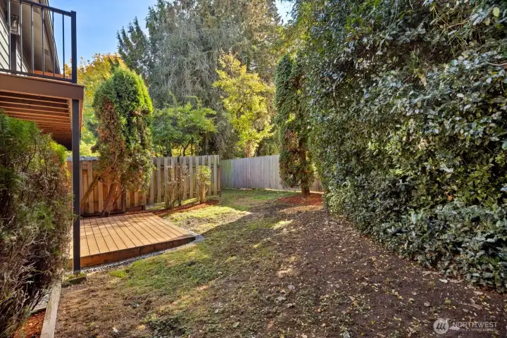 foliage for privacy from surrounding properties