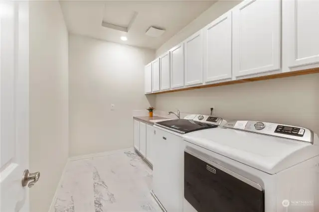 Cabinets and sink are an upgrade in this better than new home! Washer and Dryer Stay.