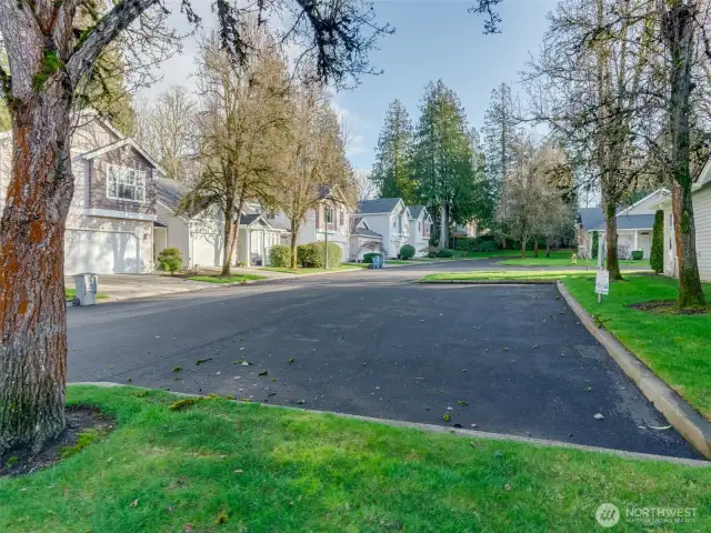 Guest parking across the street