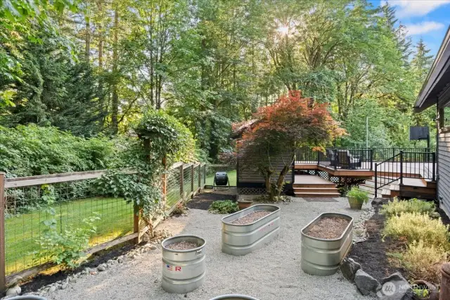 Garden with raised beds just off the back deck