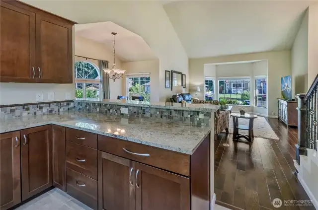 Peninsula in kitchen which is open to the living and dining room