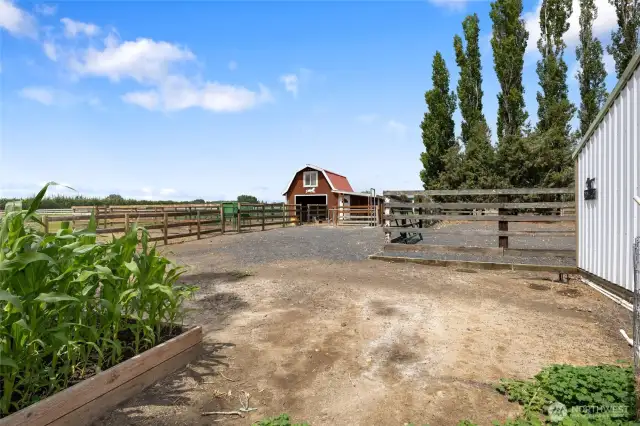 Small arena and barn with tack room. 2 automatic waters and wash rack station.