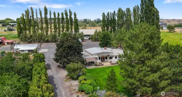 Great windbreaks surround this beautiful property.