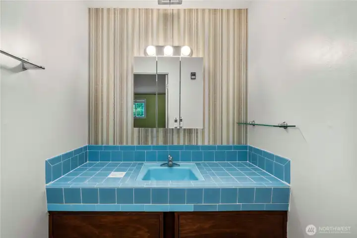 Bathroom off of downstairs primary bedroom
