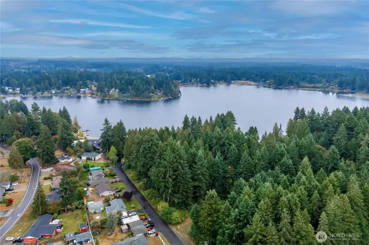 A bird’s-eye glimpse of peaceful Hicks Lake and the surrounding community