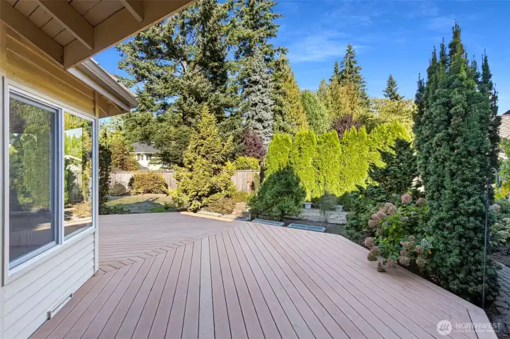 Backyard Deck