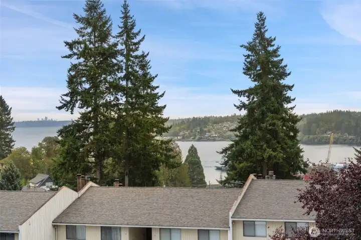 Watch the Ferries dock from your home!