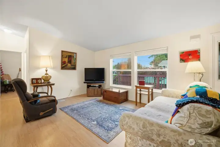 Manufactured Home Living Room