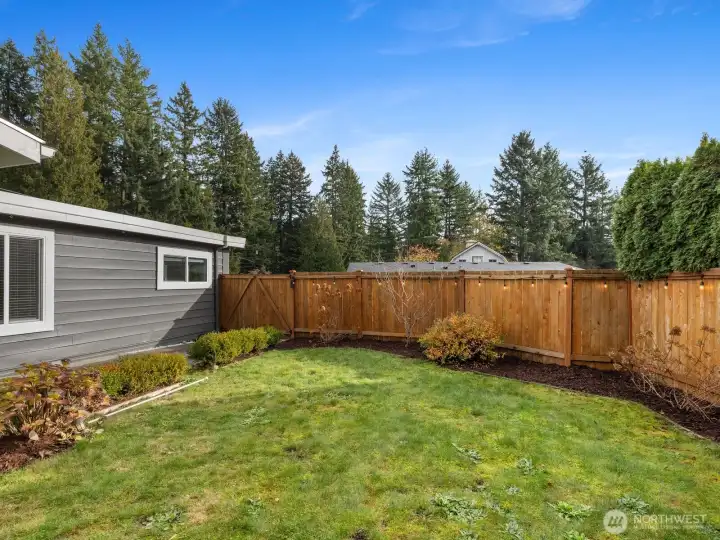 View from backyard-this leads to the front of the home. Double gate with a large concrete walkway.