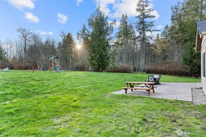 A peek of the backyard