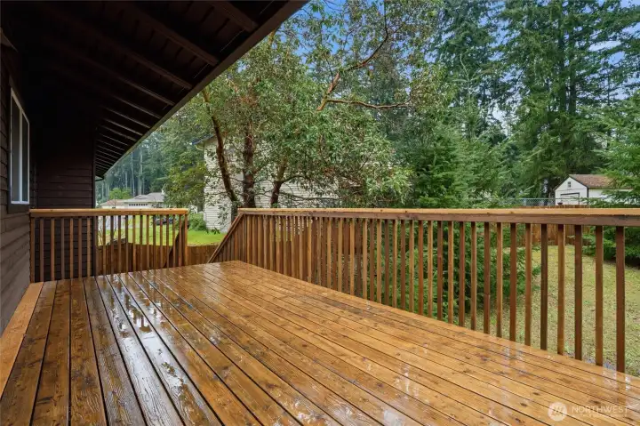 Freshly stained back deck