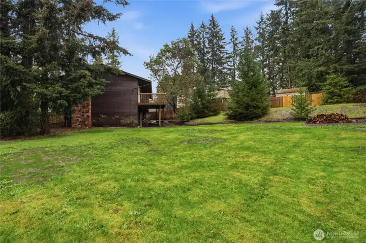 Large fully fenced backyard