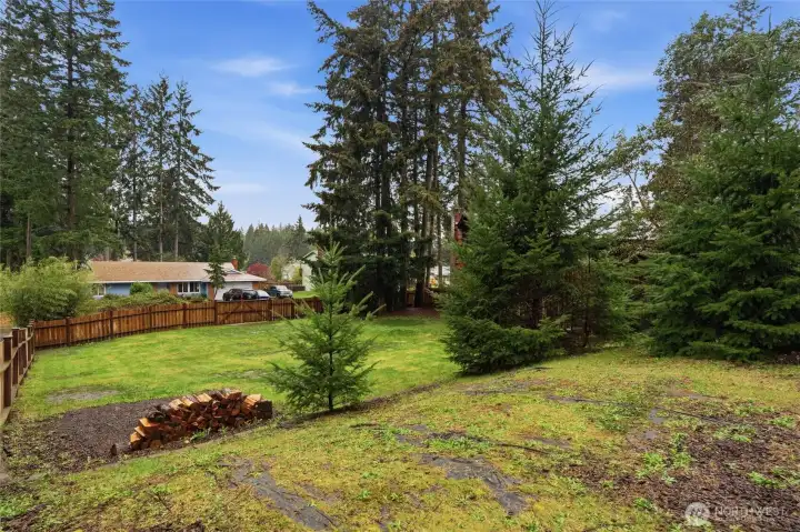 Large backyard with established trees
