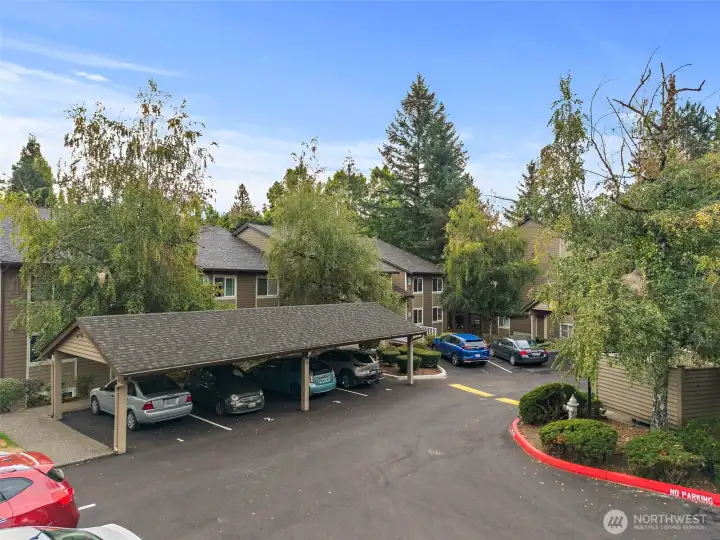 Carport Parking!