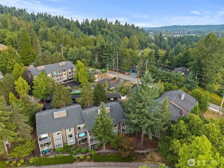 Surrounded by stunning landscape. PNW Retreat.