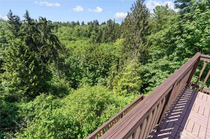 Peaceful views year round! The color is amazing! Peaceful views year round! The color is amazing!
