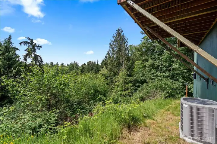 From this lower level of the property a crawl space surprise awaits! From this lower level of the property a crawl space surprise awaits!