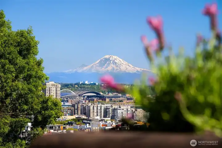 Mt. Rainier & Seattle Views