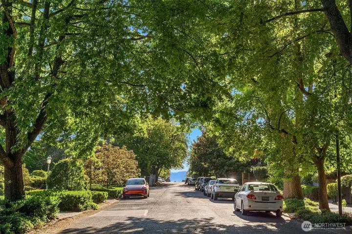 Neighborhood Street