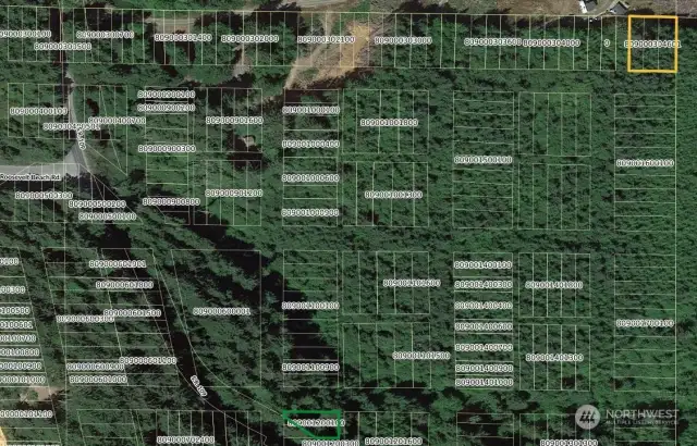 Green Outline is Subject Property, Yellow is Adjacent Property. Pulled From Grays Harbor County Website.