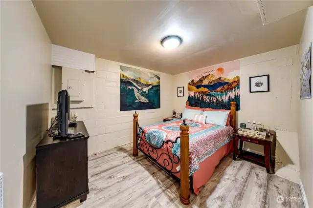 Downstairs Unit/Bedroon 1
