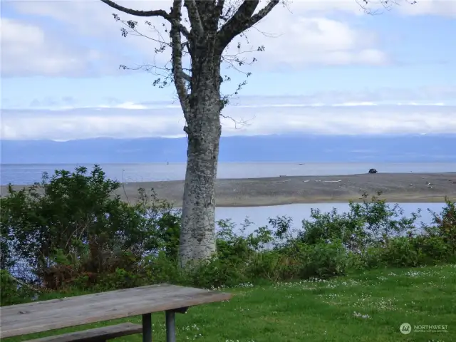 Local Beach