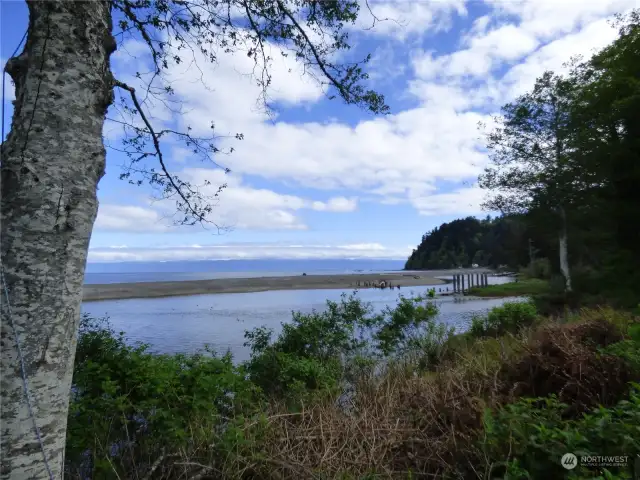 Local Beach