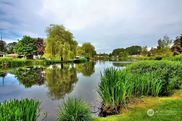 Wandering Creek Community Common area:  Reflection lake with a paved trail around the entire lake and a gazebo.