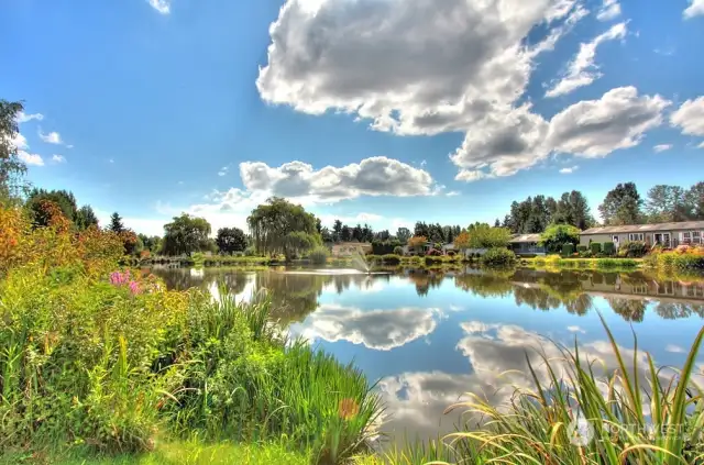 Wandering Creek Community Common area:  Reflection lake with a paved trail around the entire lake and a gazebo.