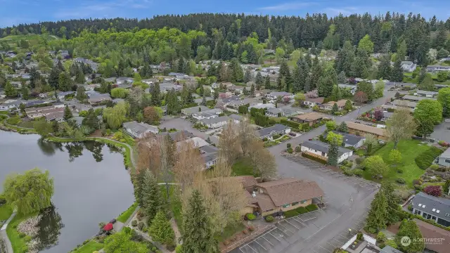 Wandering Creek Community Common area:  Drone view of the clubhouse and reflection lake.