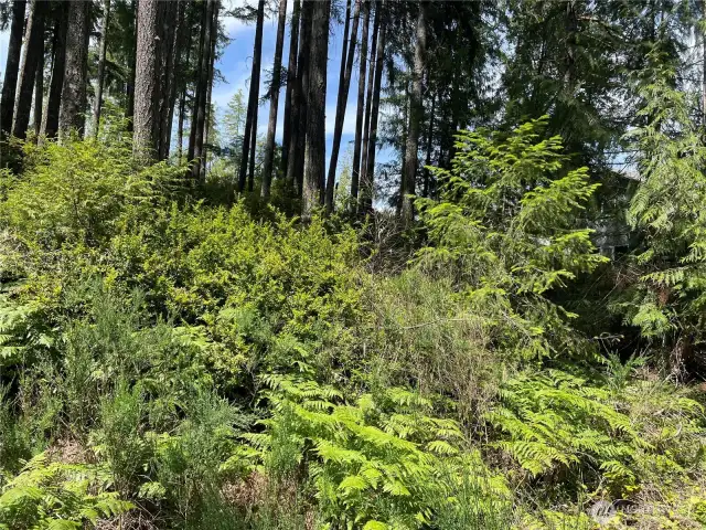 From the front of the property.