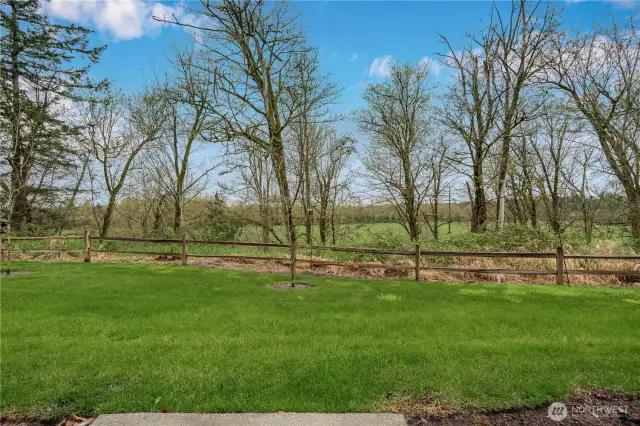 Looking towards the river.