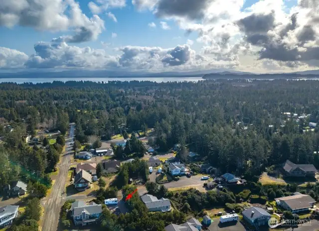 Short Drive to Willapa  Bay
