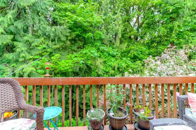 A view from the balcony that is sure to be adored