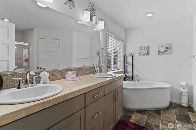 Free Standing Tub