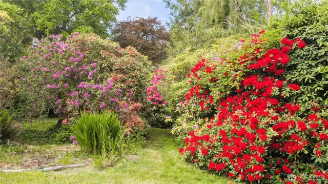 A secluded sanctuary in full bloom—this tucked-away corner of the Nahcotta garden offers dappled light, painterly textures, and a sense of calm that feels like a secret waiting to be discovered.