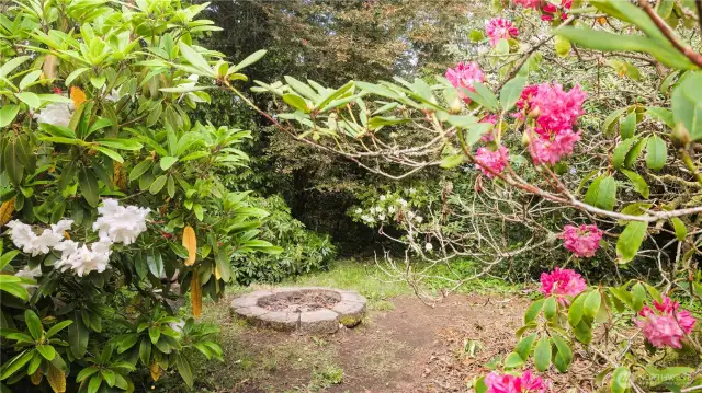 A vibrant burst of color and life, this garden corner is a natural showstopper—where blooming rhododendrons, delicate ferns, and lush ground cover frame a rustic firepit at center stage. Whether it’s marshmallows at dusk or quiet afternoons among the flowers, this tucked-away haven captures the essence of Pacific Northwest living—organic, relaxed, and utterly enchanting.