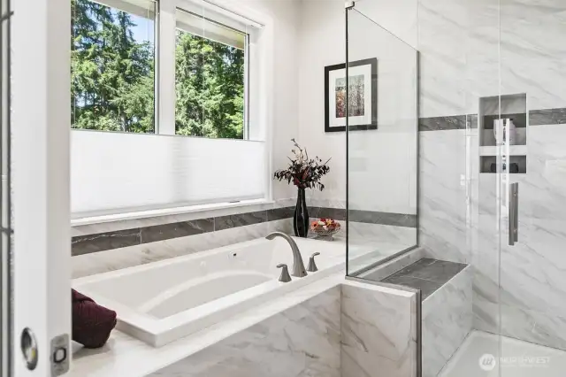 A 2nd view of the Primary Tub and separate Shower.