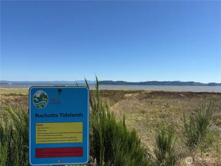Walk across the street to the Nahcotta Tidelands and harvest your own Oysters!